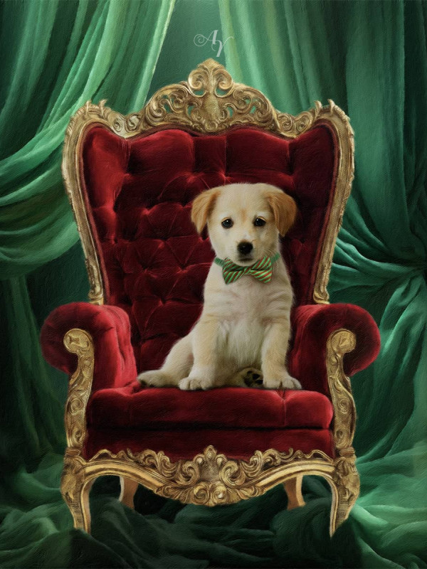 Christmas Veils Pet Customized Photo Paintings