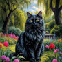 Angora Cat Portrait Paintings