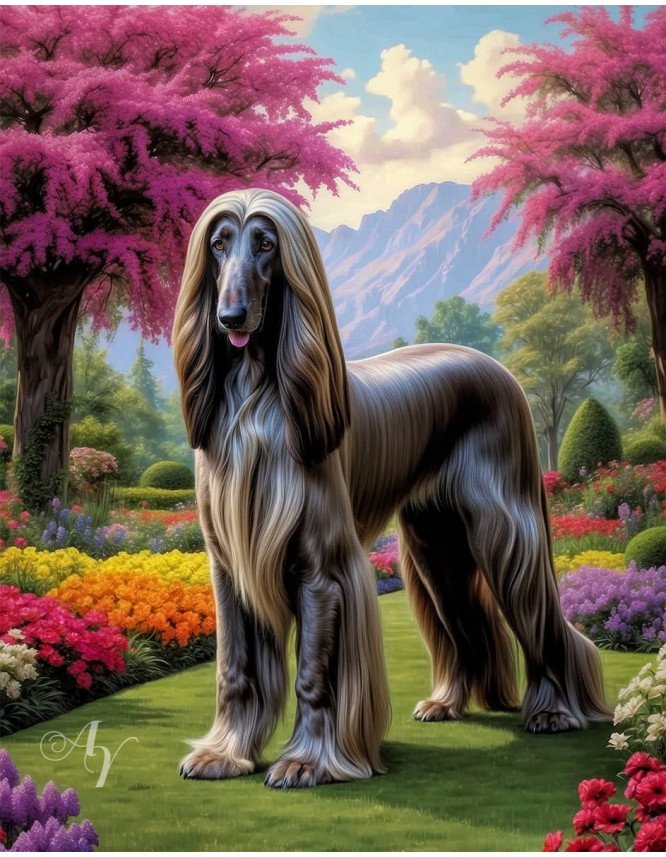 Afghan Hound Dog Portrait Paintings Afghan Hound Dog Portrait Paintings