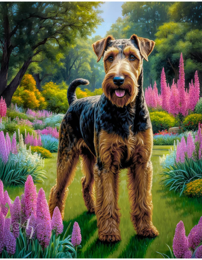Airedale Terrier Dog Portrait Paintings Airedale Terrier Dog Portrait Paintings