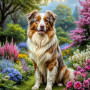 Australian Shepherd Dog Portrait Paintings