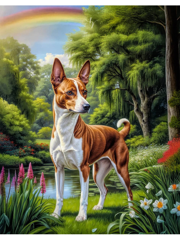 Basenji Dog and Puppy Portrait Paintings