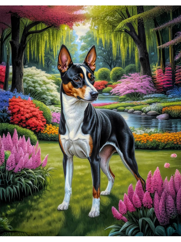 Basenji Dog and Puppy Portrait Paintings