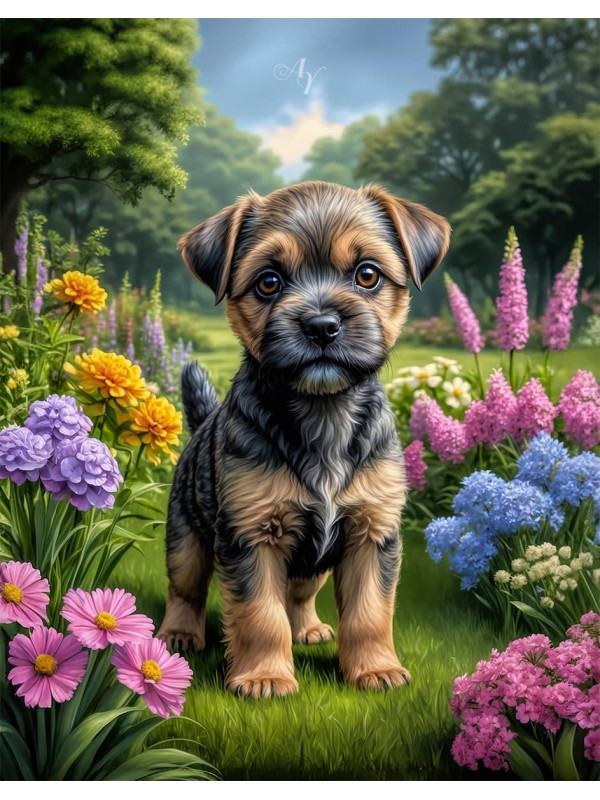 Border Terrier Dog Portrait Paintings