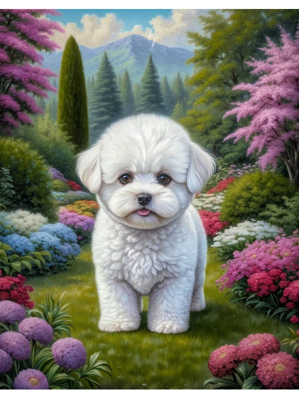 Bichon Frise Dog Portrait Paintings