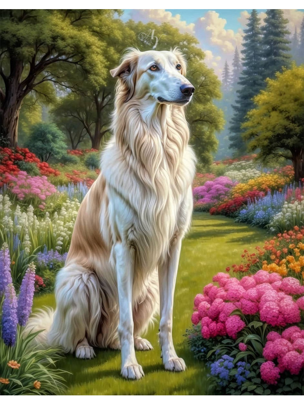 Borzoi Dog Portrait Paintings