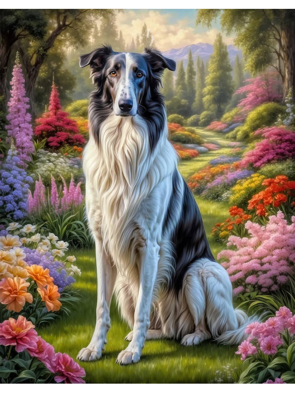 Borzoi Dog Portrait Paintings