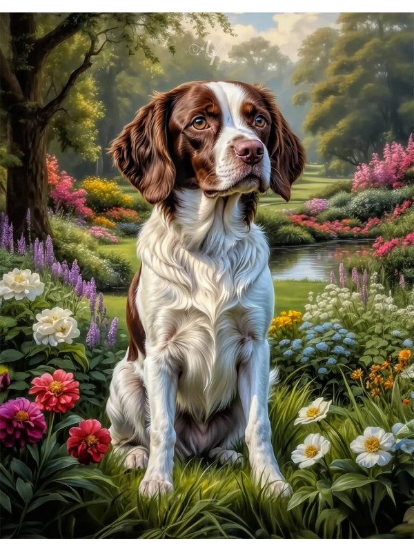 Brittany Spaniel Dog Portrait Paintings