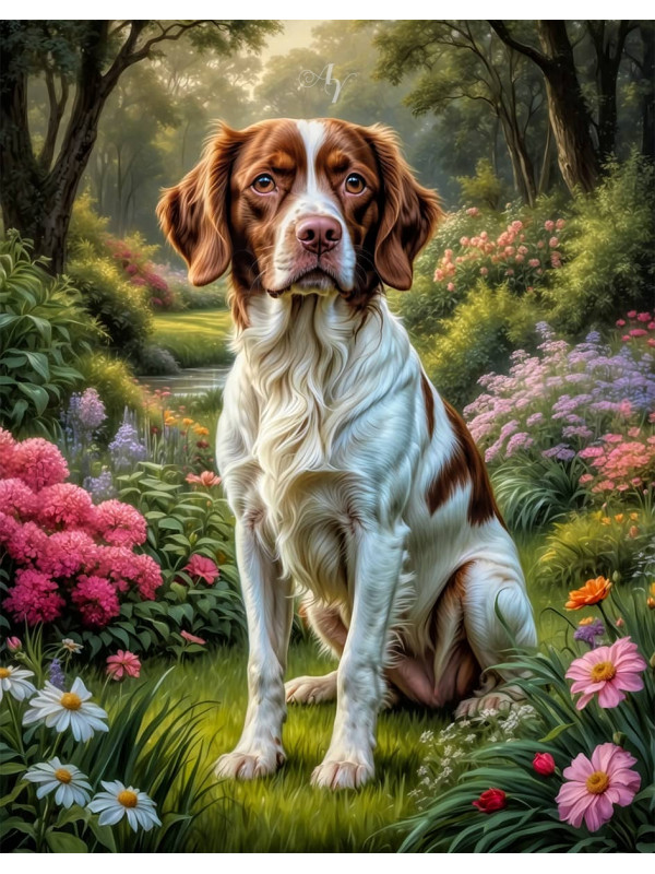 Brittany Spaniel Dog Portrait Paintings