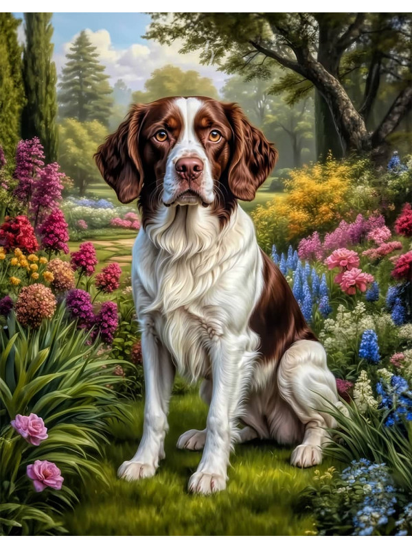 Brittany Spaniel Dog Portrait Paintings