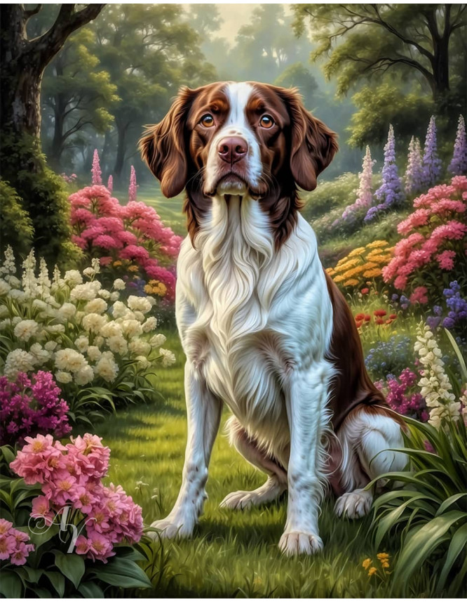 Brittany Spaniel Dog Portrait Paintings Brittany Spaniel Dog Portrait Paintings