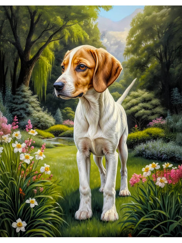 Foxhound Dog Portrait Art