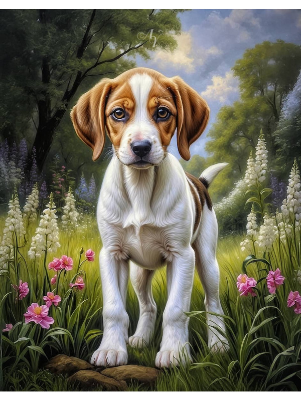 Foxhound Dog Portrait Art