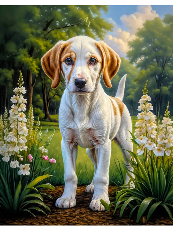 Foxhound Dog Portrait Art