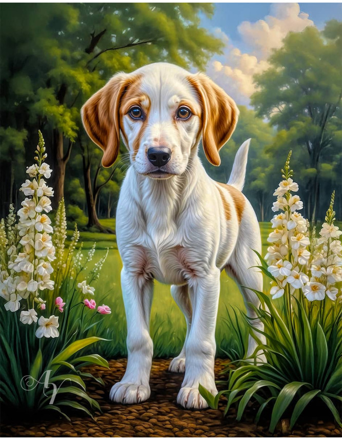 American Foxhound Portrait Paintings