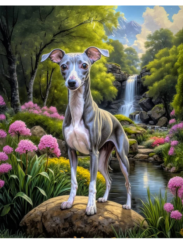 Italian Greyhound Portrait Paintings