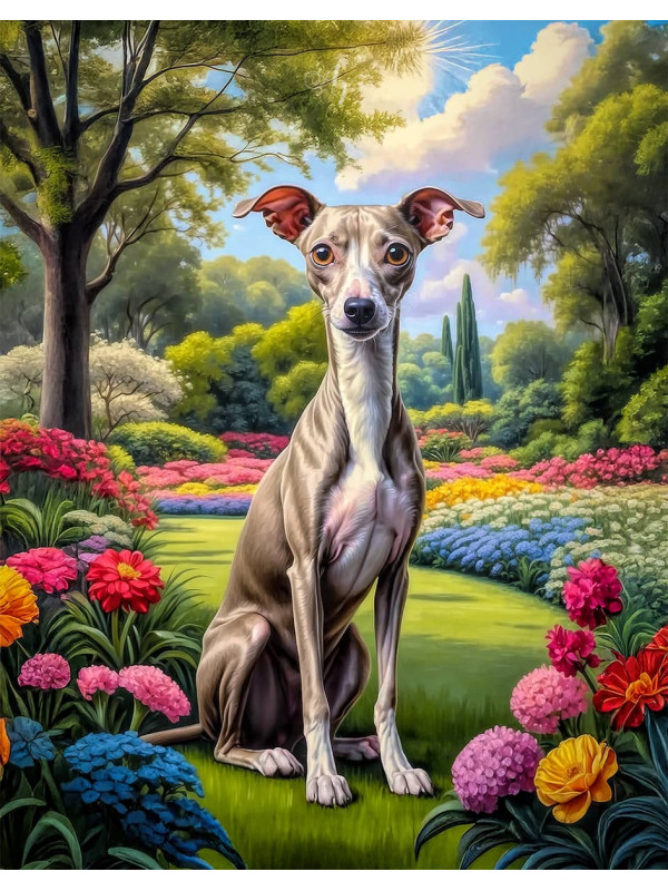 Italian Greyhound Portrait Paintings