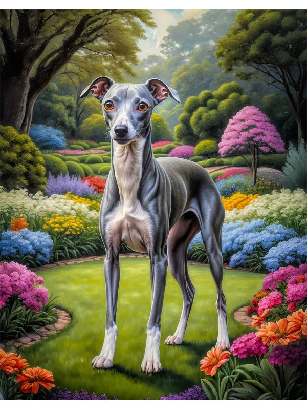 Italian Greyhound Portrait Paintings