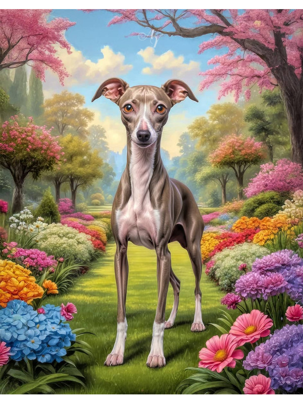 Italian Greyhound Portrait Paintings