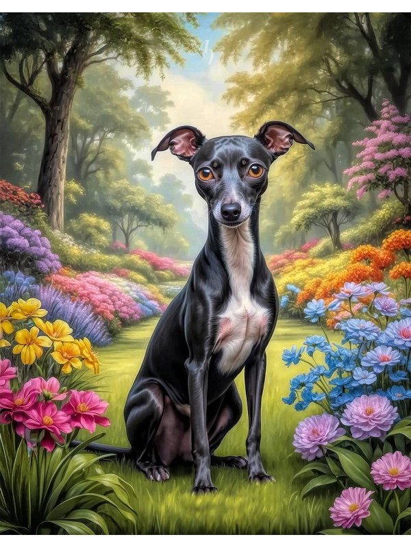 Italian Greyhound Portrait Paintings
