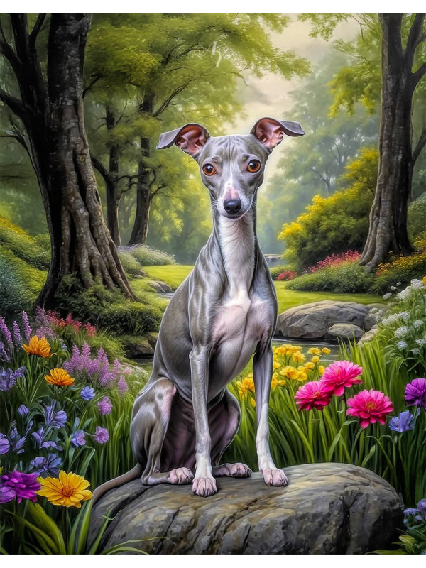 Italian Greyhound Portrait Paintings