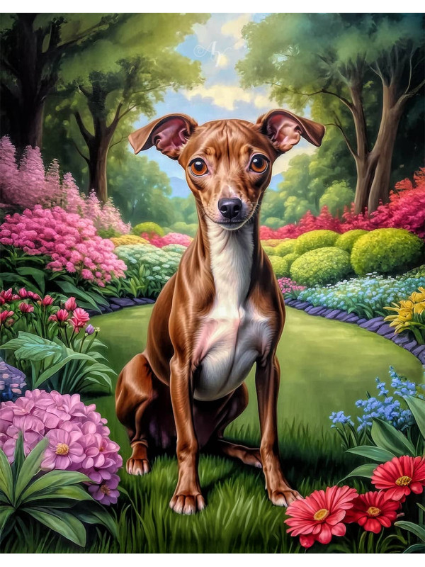 Italian Greyhound Portrait Paintings