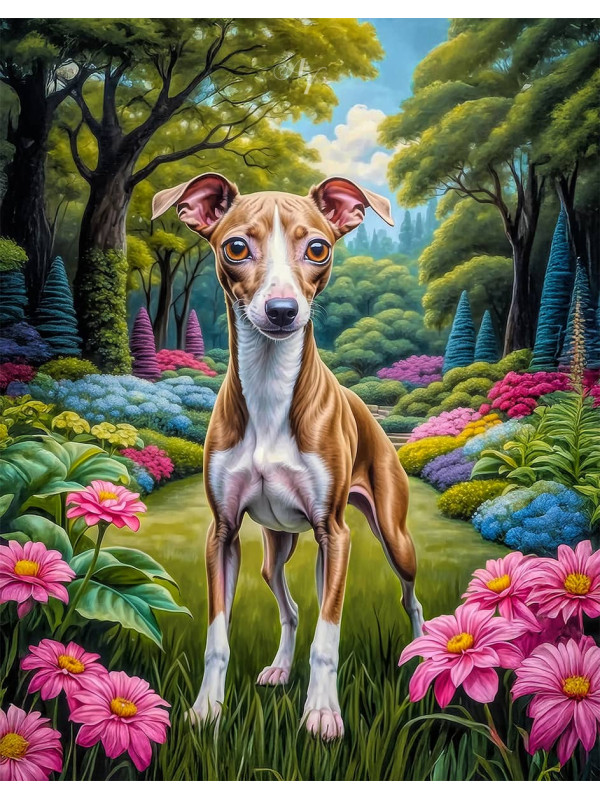 Italian Greyhound Portrait Paintings