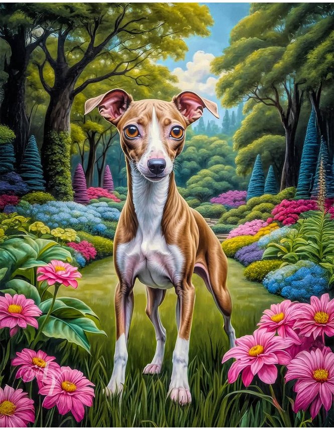 Italian Greyhound Portrait Paintings