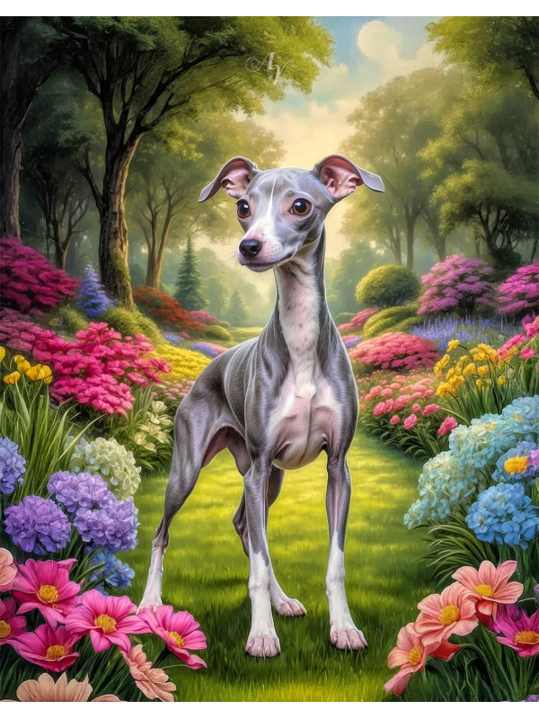 Italian Greyhound Portrait Paintings