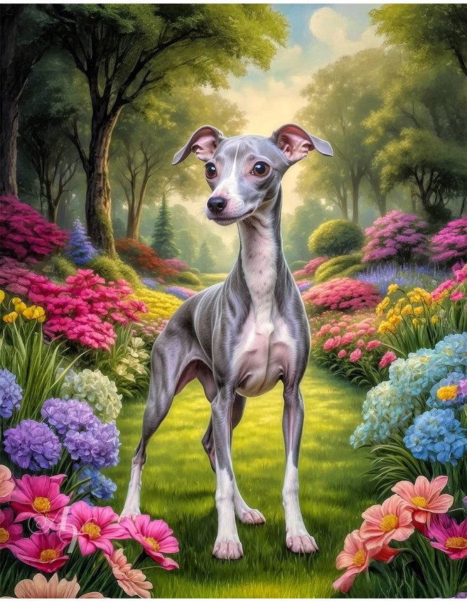 Italian Greyhound Portrait Paintings