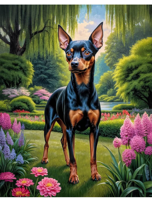 Miniature Pinscher Dog Portrait Paintings