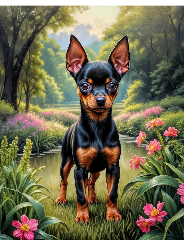 Miniature Pinscher Puppy Portrait Paintings