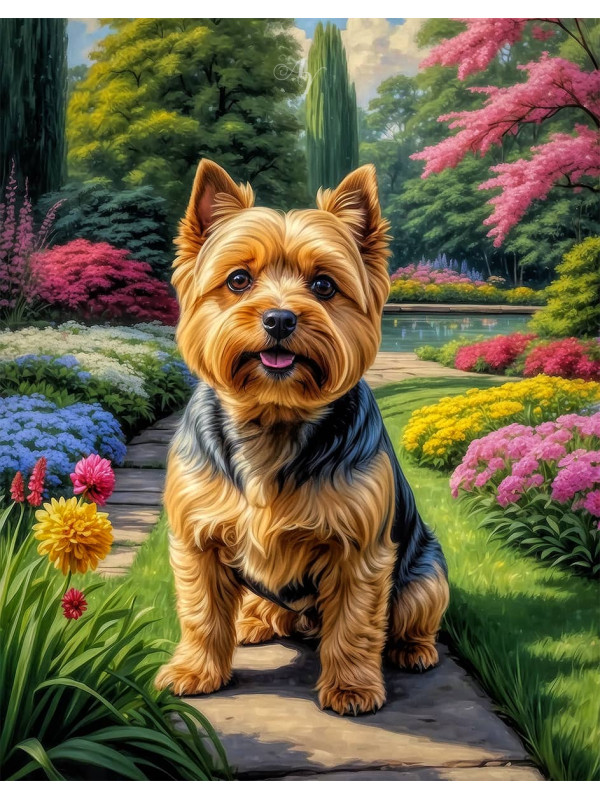 Norwich Terrier Dog Portrait Paintings
