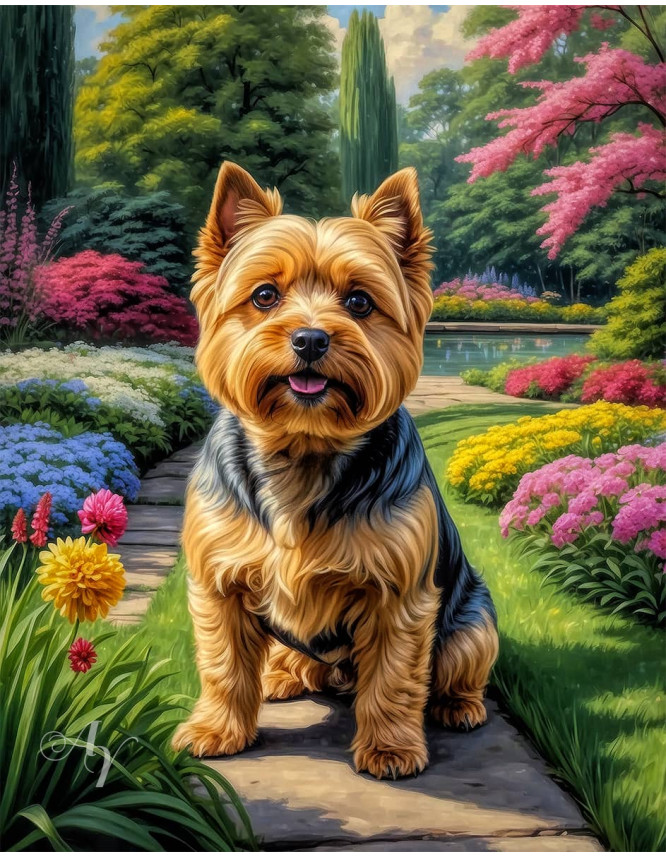 Norwich Terrier Dog Portrait Paintings