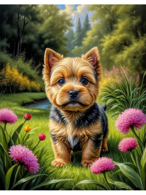 Norwich Terrier Puppy Portrait Paintings