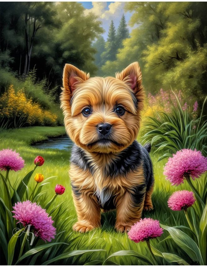 Norwich Terrier Puppy Portrait Paintings Norwich Terrier Puppy Portrait Paintings