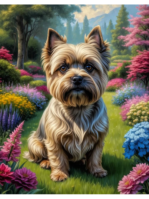 Cairn Terrier Dog Portrait Paintings