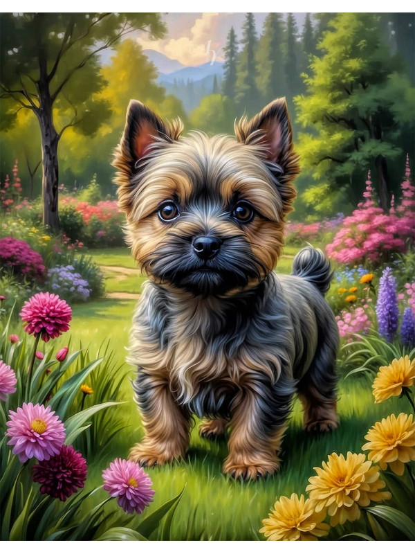 Cairn Terrier Puppy Portrait Paintings