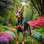 Doberman Pinscher Portrait Paintings
