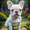 French Bulldog Puppy Portrait Paintings