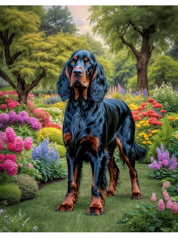 Gordon Setter Portrait Paintings