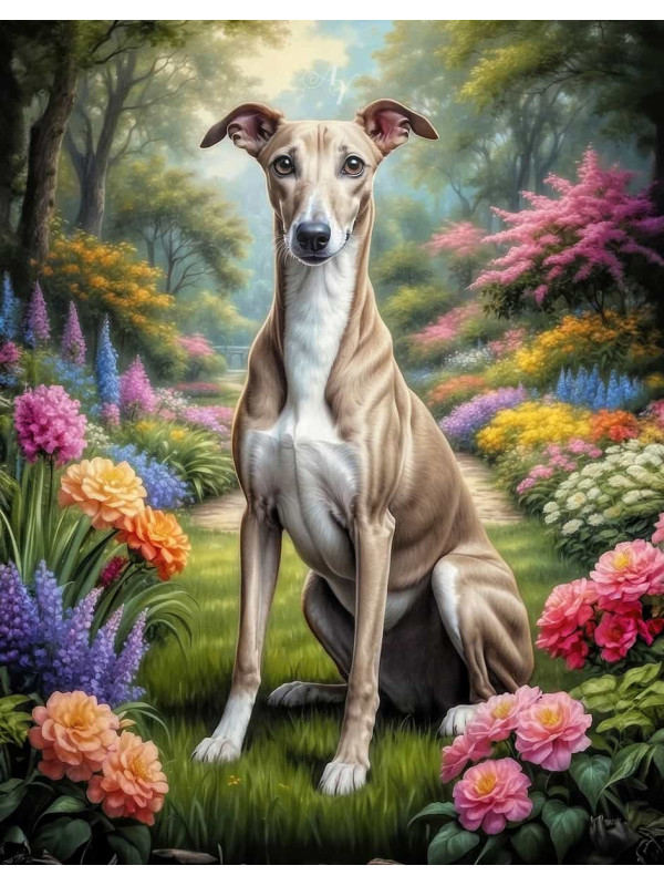 Greyhound Dog Portrait Paintings