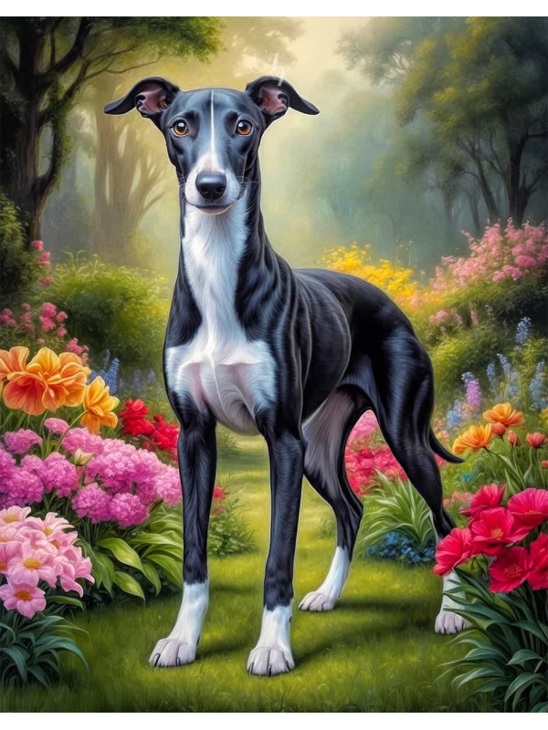 Greyhound Dog Portrait Paintings