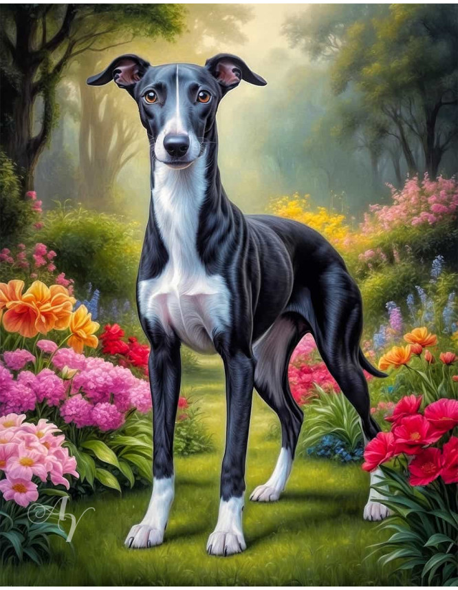 Greyhound Dog Portrait Paintings Greyhound Dog Portrait Paintings
