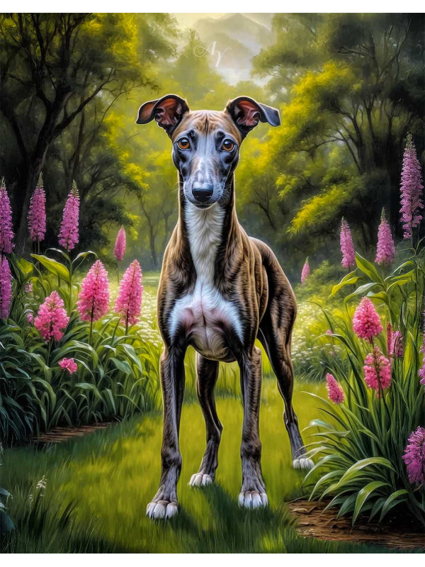 Greyhound Dog Portrait Paintings
