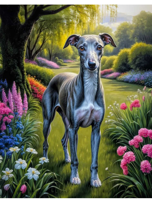 Greyhound Dog Portrait Paintings