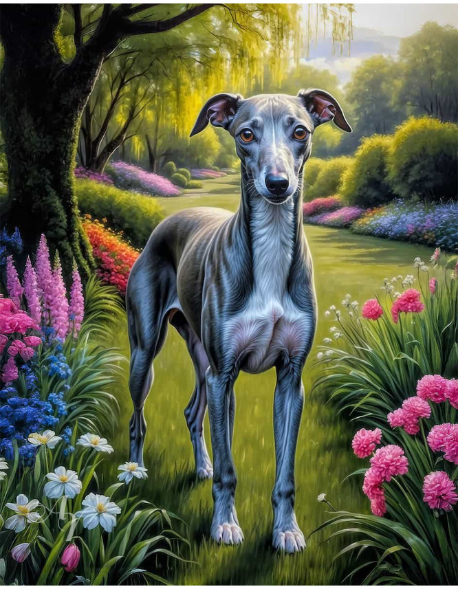 Greyhound Dog Portrait Paintings
