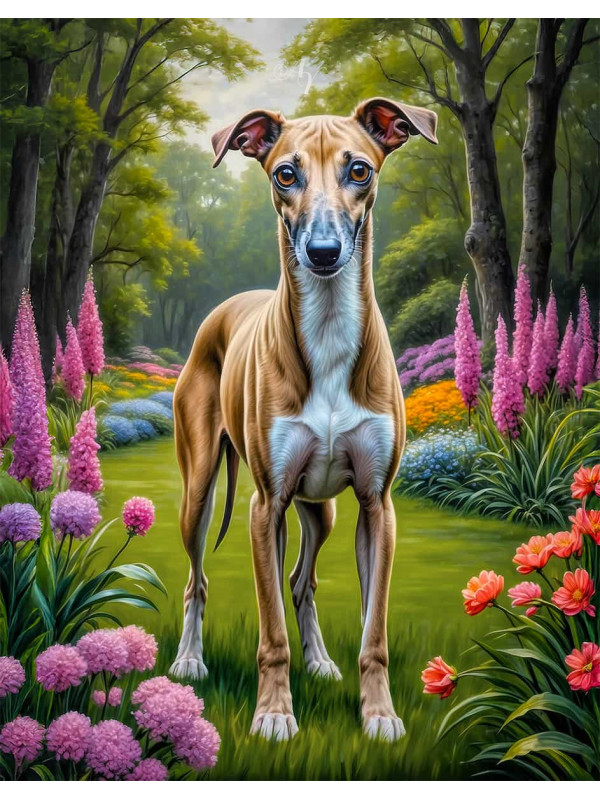 Greyhound Dog Portrait Paintings