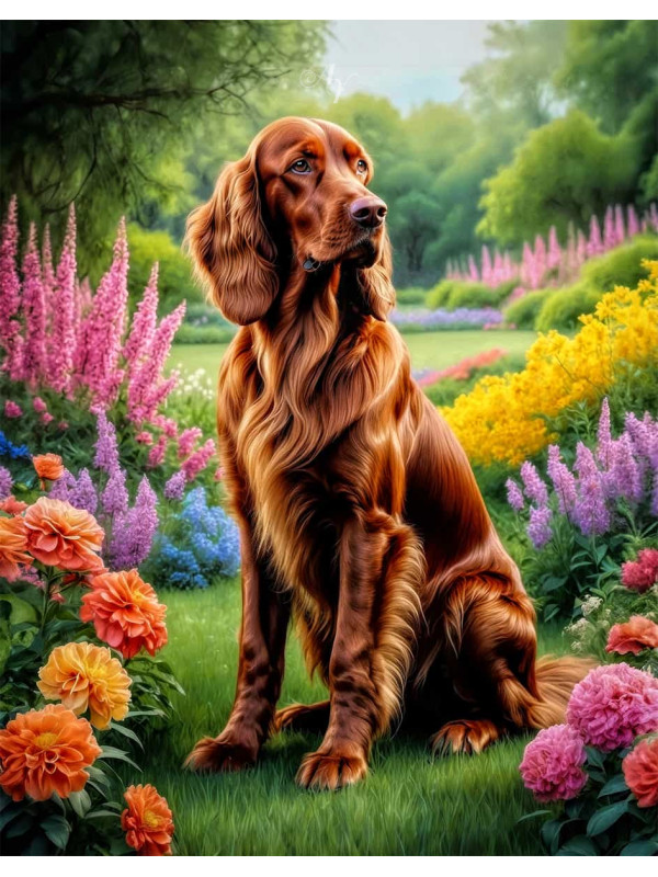 Irish Setter Portrait Paintings