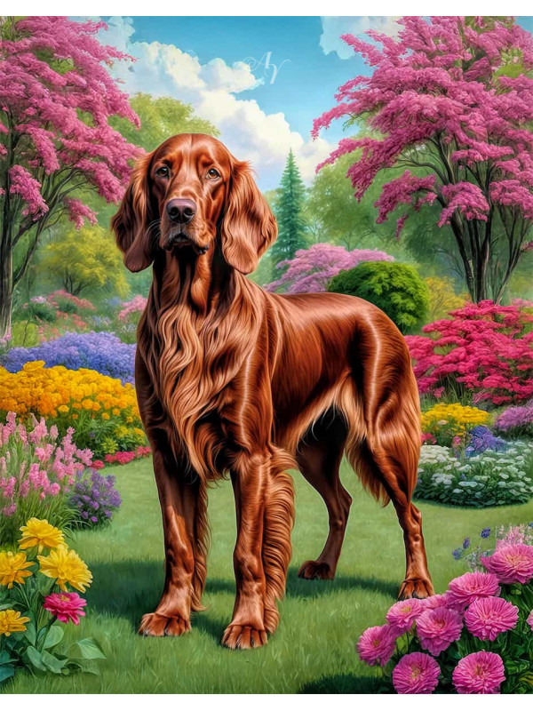 Irish Setter Portrait Paintings